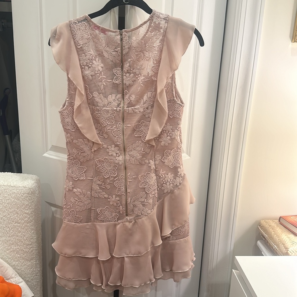 Parker Womens Dresses Parker Gabriel Dusty Light Pink Lace Ruffle Mini Dress - Picture 5 of 6
